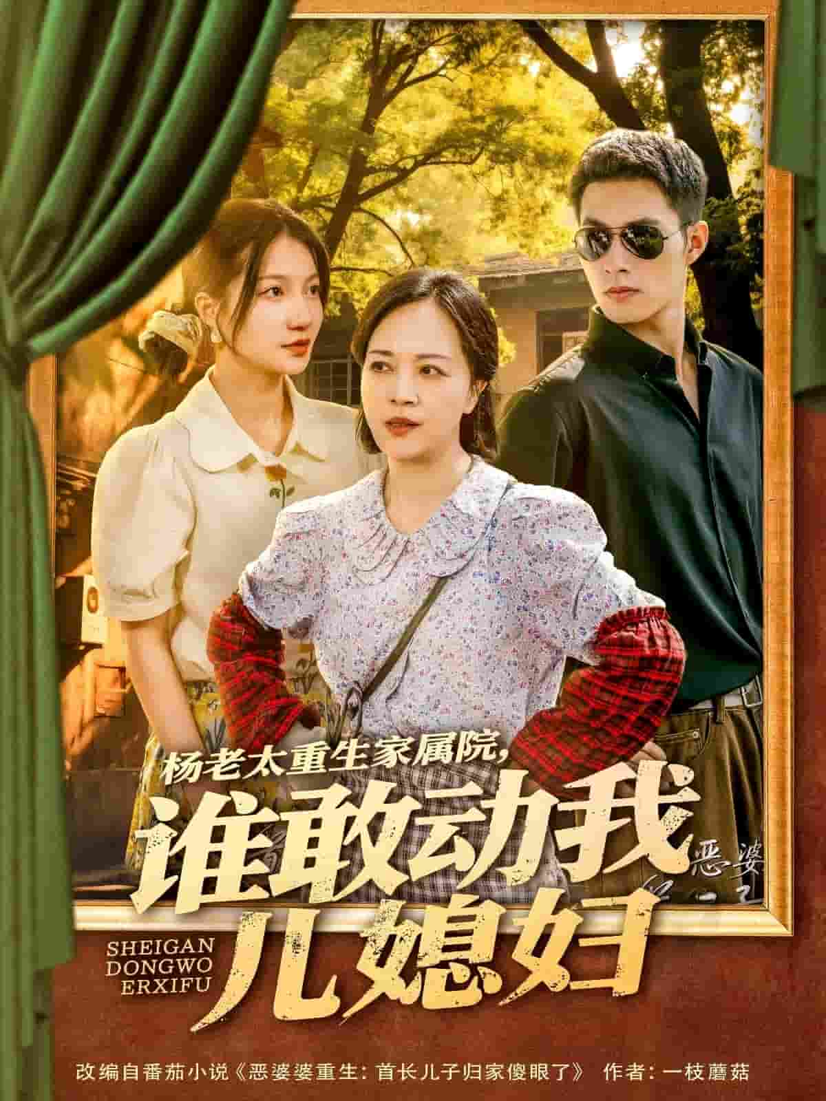 杨老太重生家属院，谁敢动我儿媳妇&杨老太重生家属院谁敢动我儿媳妇（85集）兰岚＆邹盛文-嗨免费下